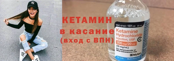 шишки Заволжск