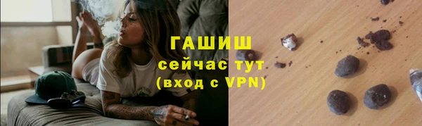 молекула духа Пестово