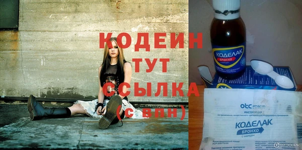шишки Заволжск