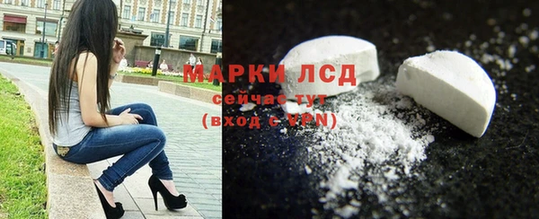 шишки Заволжск