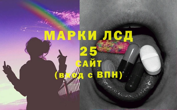 молекула духа Пестово