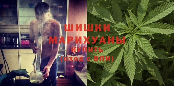 шишки Заволжск
