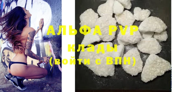СК Елизово