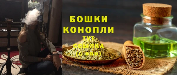 шишки Заволжск