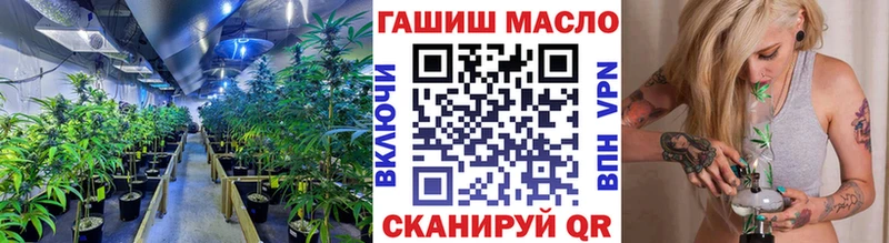 сайты даркнета телеграм мега рабочий сайт Истра Дистиллят ТГК Wax