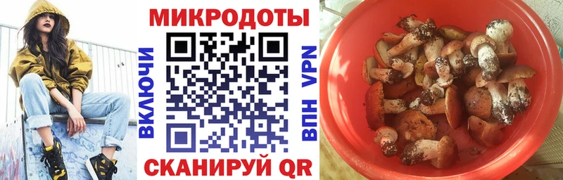 Псилоцибиновые грибы Psilocybe  где купить   Истра 